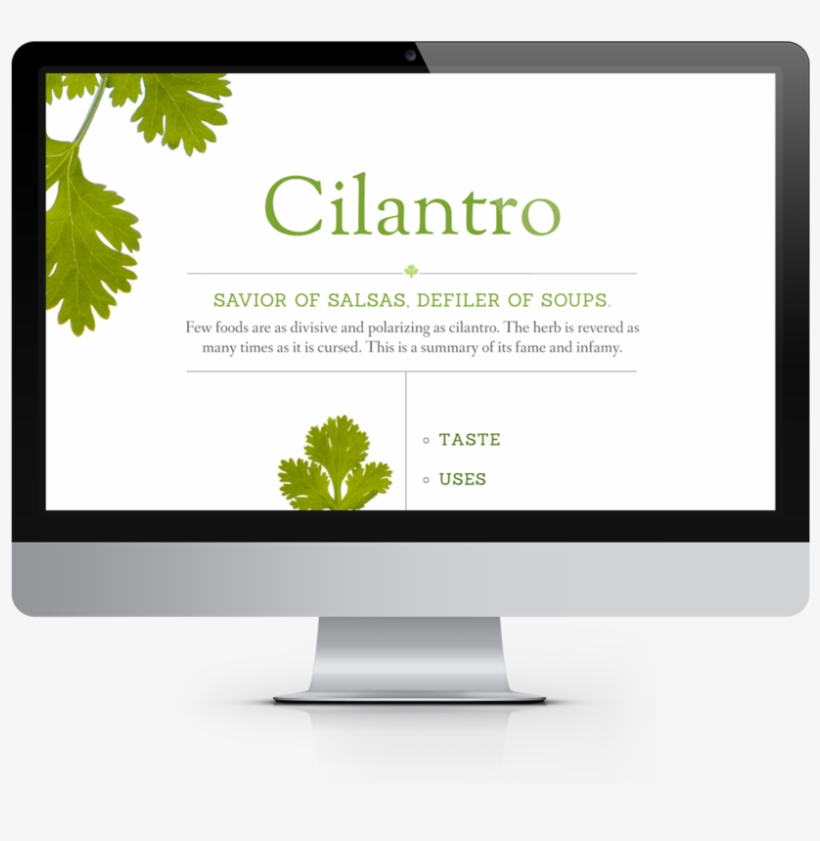 Cilantro Desktop, transparent png #803665