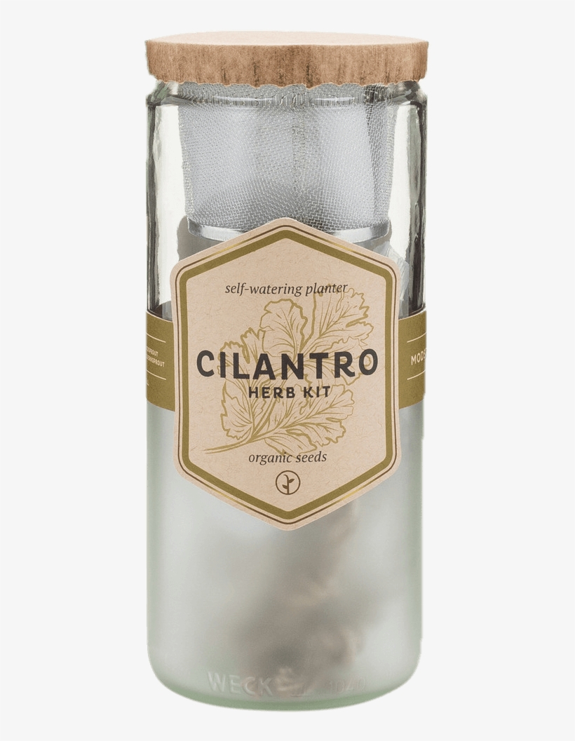 Self-watering Herb Kit - Modern Sprout Eco Planter Mint, transparent png #804214