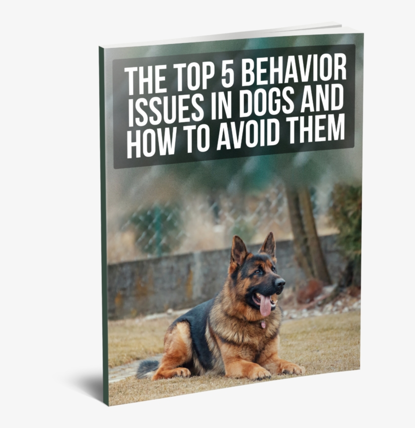 3d - 3d Computer Graphics, transparent png #804344