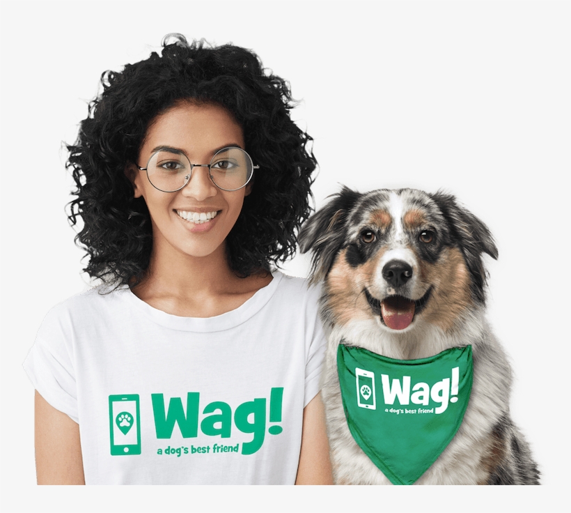 Dog, transparent png #804484