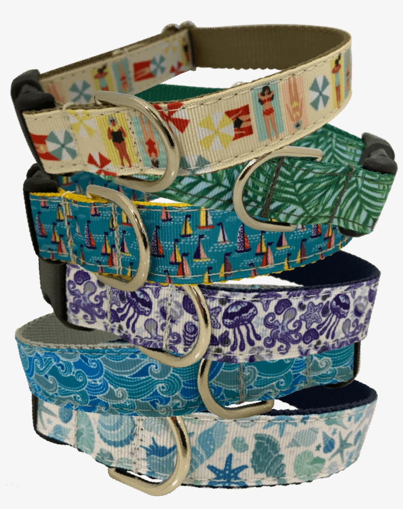 Shop Collars & Leashes - Belt, transparent png #804507