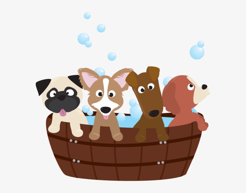 The Ultimate Guide To Grooming And Bathing Your Dog - Berçário Pet, transparent png #804508
