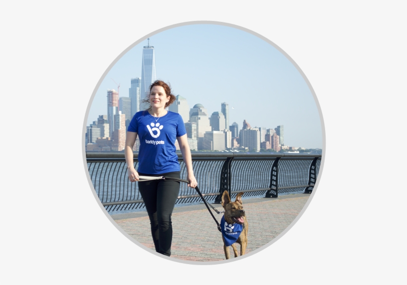 Attend A Walker Onboarding In Your City To Meet Other - Dog Walking, transparent png #804551