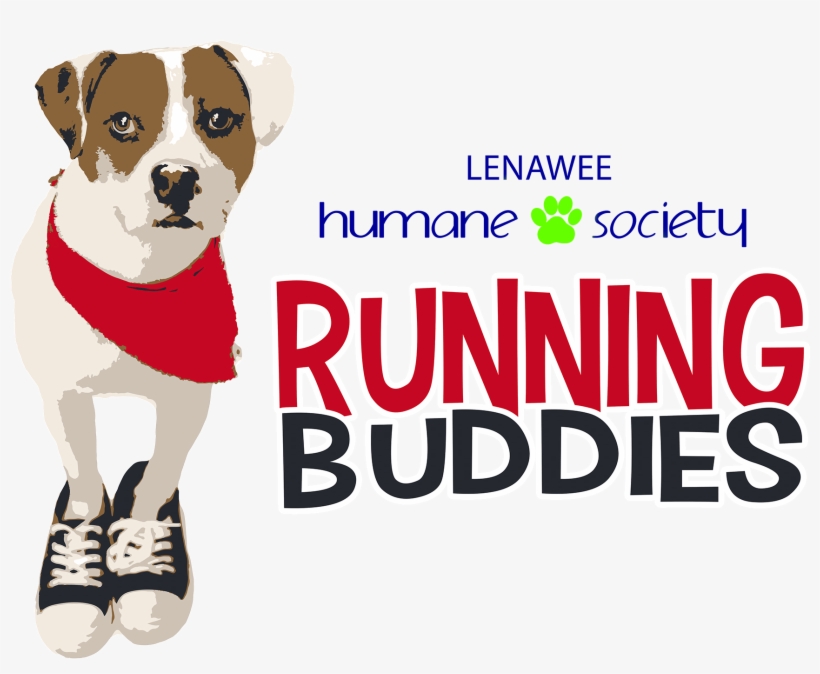Our Athletic Canines Need A Running Buddy, And We Hear - Companion Dog, transparent png #804623