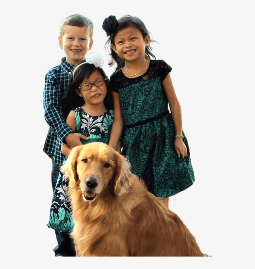 Improving Their Lives - Companion Dog, transparent png #804693