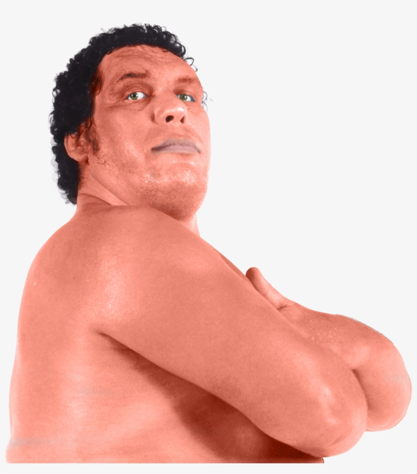 Andre The Giant, transparent png #806778