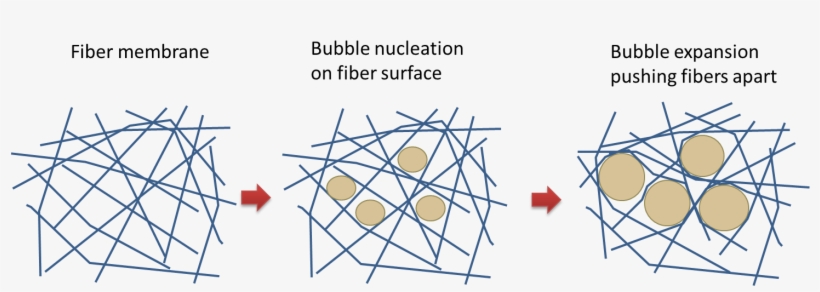 Post-electrospinning Expansion Of 2d Membrane To 3d - Diagram, transparent png #807125