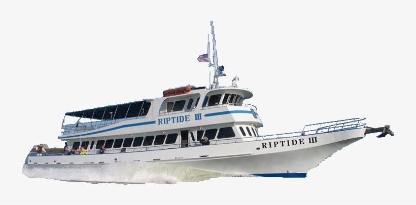 You Deserve Front Row Seats To The Biggest Fireworks - Ferry, transparent png #808300