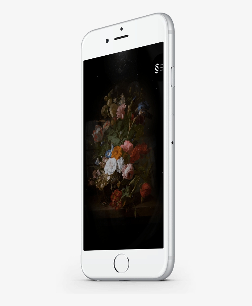 Androidiphone - Kaffeetasse Rachel Ruysch Still Life With Flowers 2, transparent png #808710