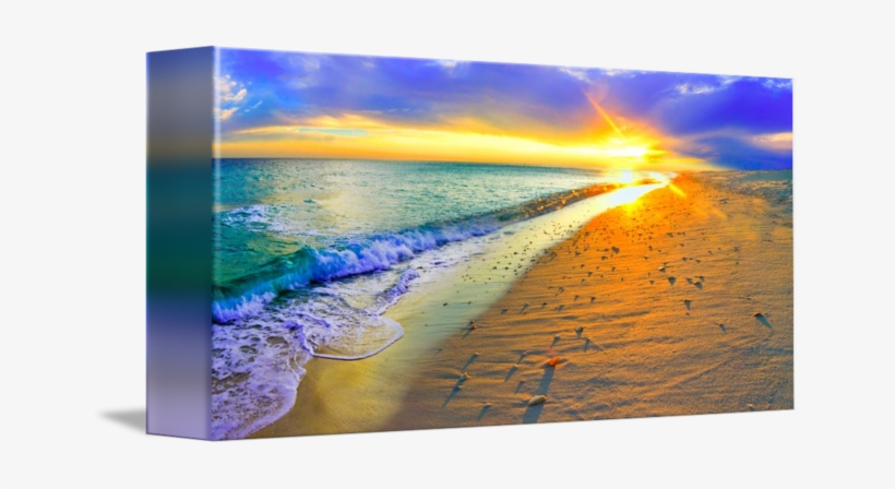 Vector Transparent Panoramic Sunset Beach Shells Art - Gallery-wrapped Canvas Art Print 10 X 5 Entitled Panoramic, transparent png #809395