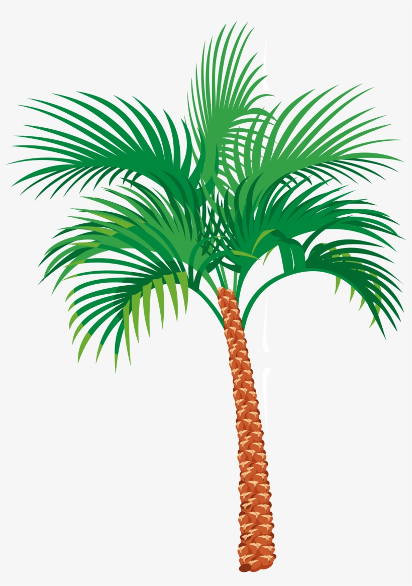 Palm Tree Clipart Pdf - Some Beach Somewhere Shirt, transparent png #809678