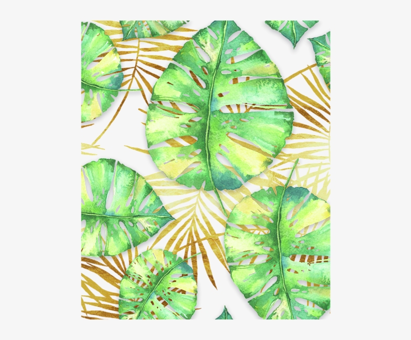 Palm Fronds - Swiss Cheese Plant, transparent png #809712