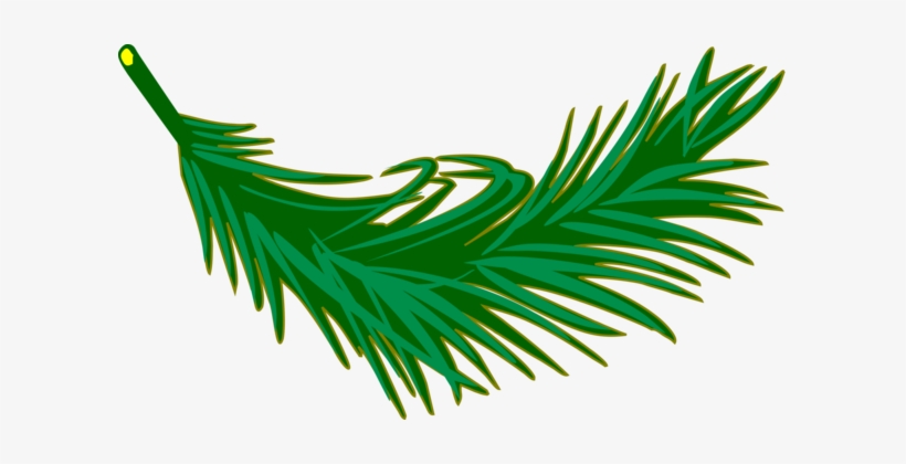 Palm Trees Palm Branch Palm-leaf Manuscript Frond - Palm Leafclipart, transparent png #809716