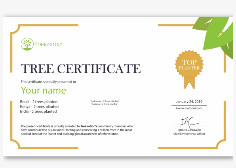 Sunflower, transparent png #8001142