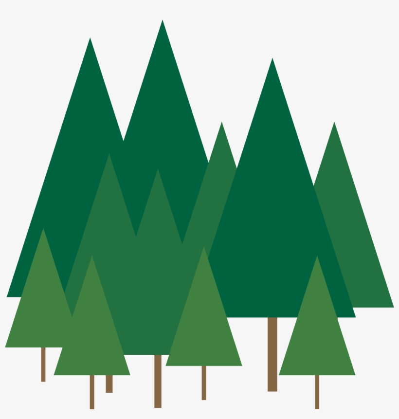 Tree - Christmas Day, transparent png #8001562