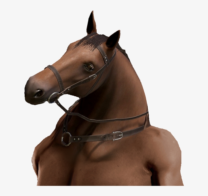 Png - Sorrel, transparent png #8001599