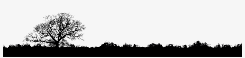 Silhouette, transparent png #8001633