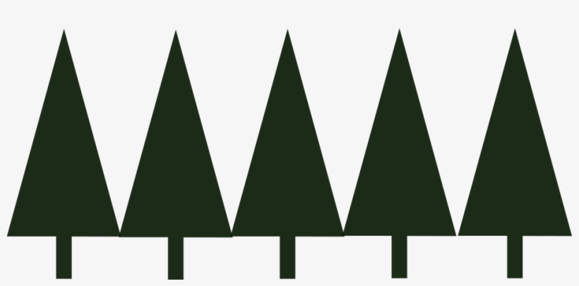 Tree Tree, transparent png #8001680