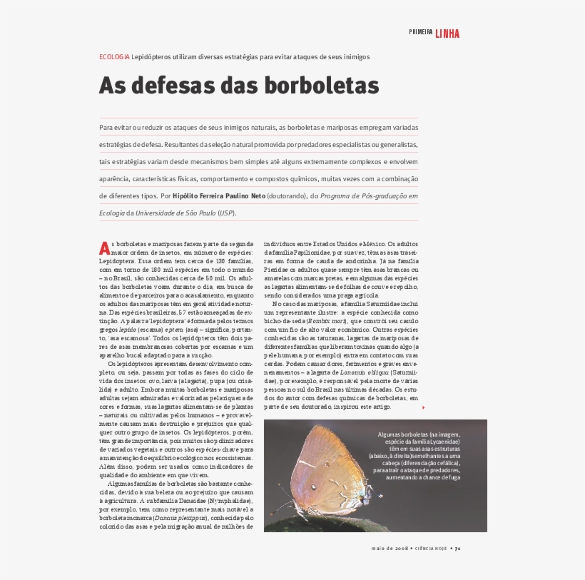 Pdf - Plaza De San Marcos, transparent png #8002670