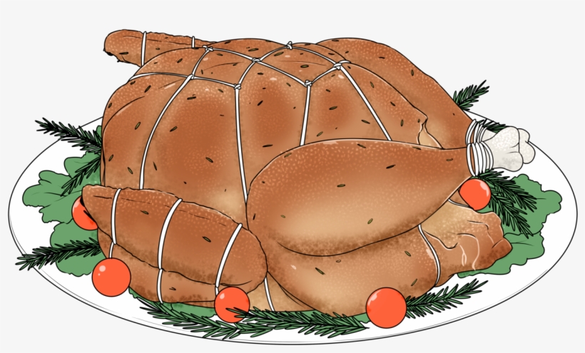 Turkey Ended Up In Bondage - Tortoise, transparent png #8002732