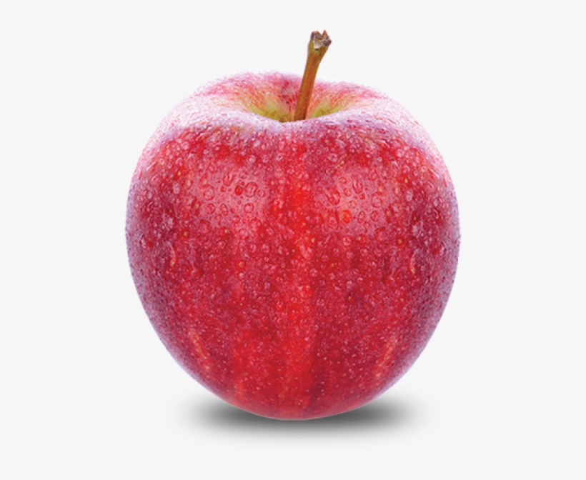 Fall Variety - Apple Gala, transparent png #8004101