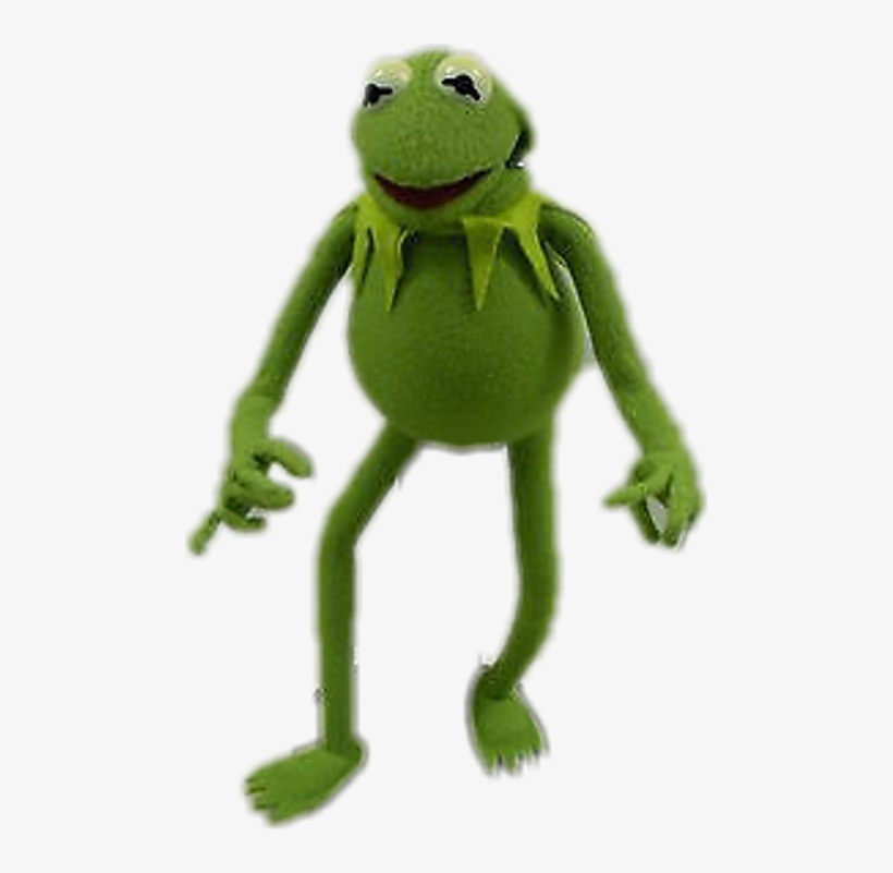 True Frog, transparent png #8004571