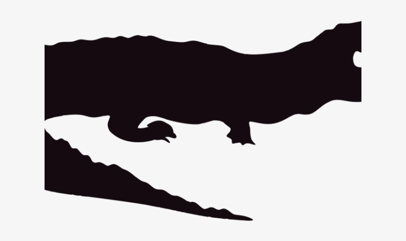 Caiman Clipart Florida - Do Not Feed Sign, transparent png #8004897