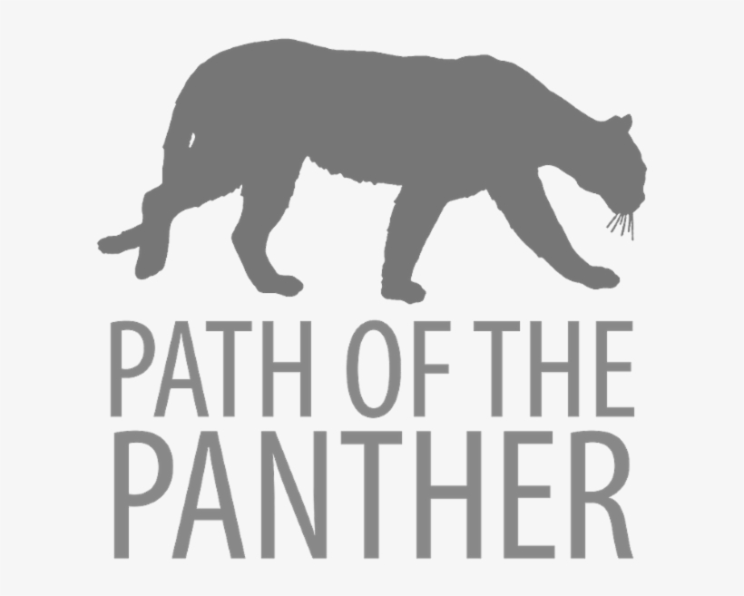 Confirm That You Like This - Grizzly Bear, transparent png #8004926