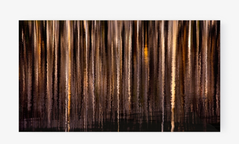 Photo Distortion Jefferson Wilderness Oregon - Picture Frame, transparent png #8004930