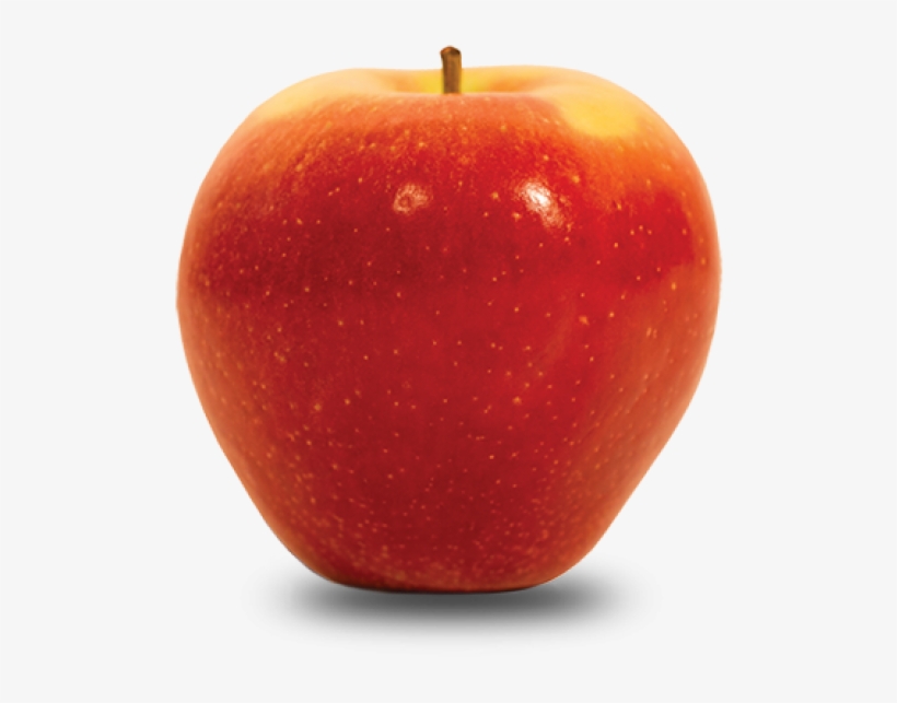 Fall Variety - Apple, transparent png #8005140