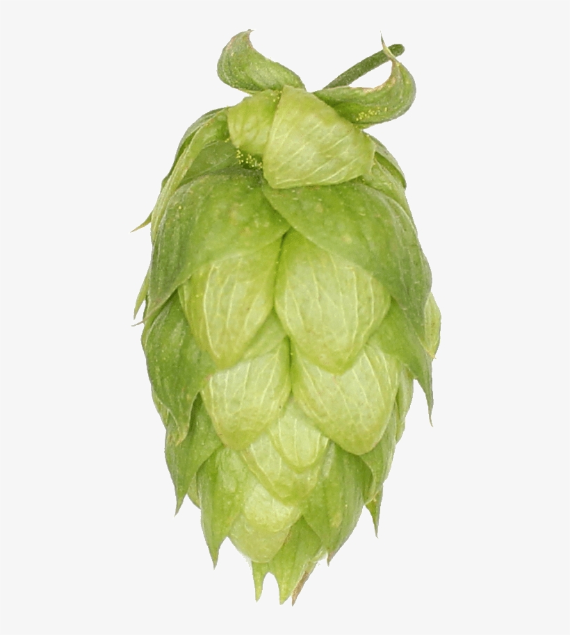 Cherimoya, transparent png #8005349