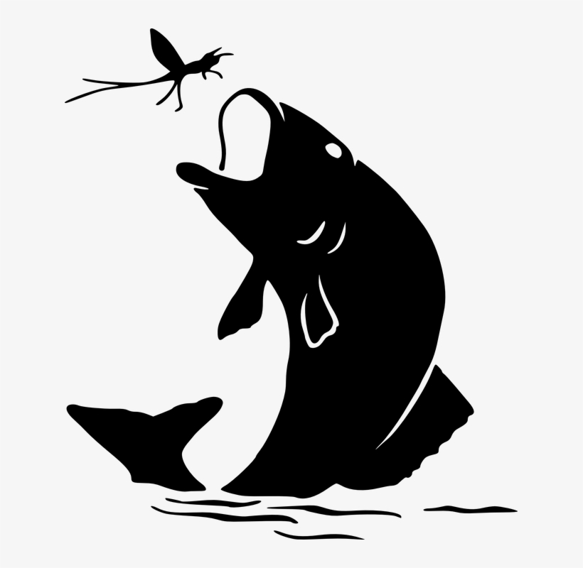 Follow Us On Instagram @thebassfishing1 - Jumping Fish Silhouette Png, transparent png #8005414
