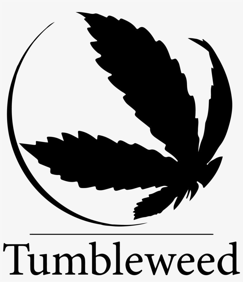Tumbleweedgrind - Hollywood Institute Of Beauty Careers Logo, transparent png #8005446