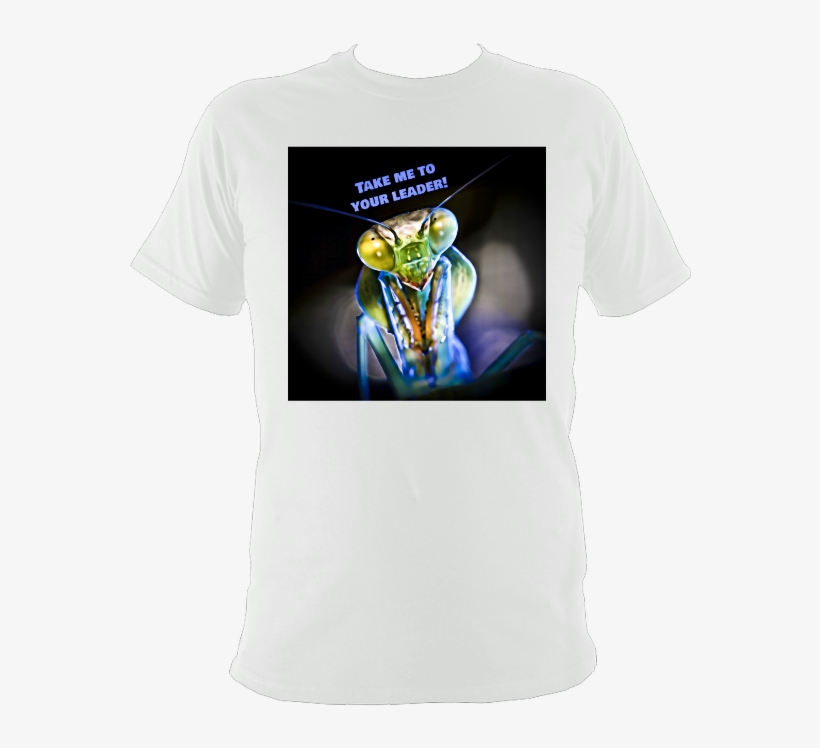 Yoda, transparent png #8005720