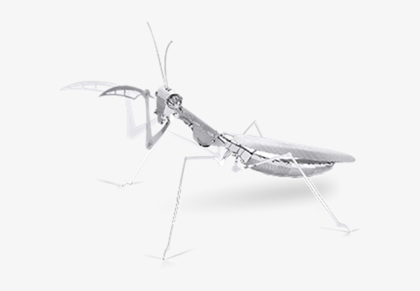 Metal Earth Online Store - Praying Mantis Claw Transparent, transparent png #8005744