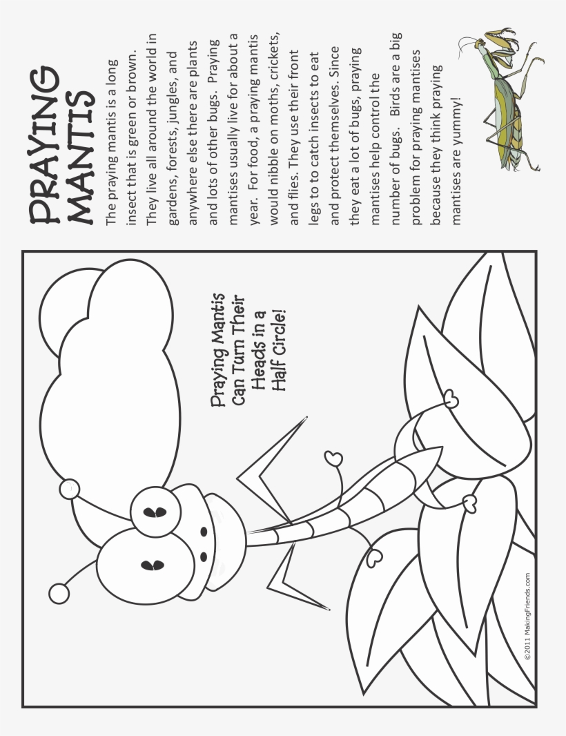 Praying Mantis Fact And Coloring Page - Cleaning House, transparent png #8005782