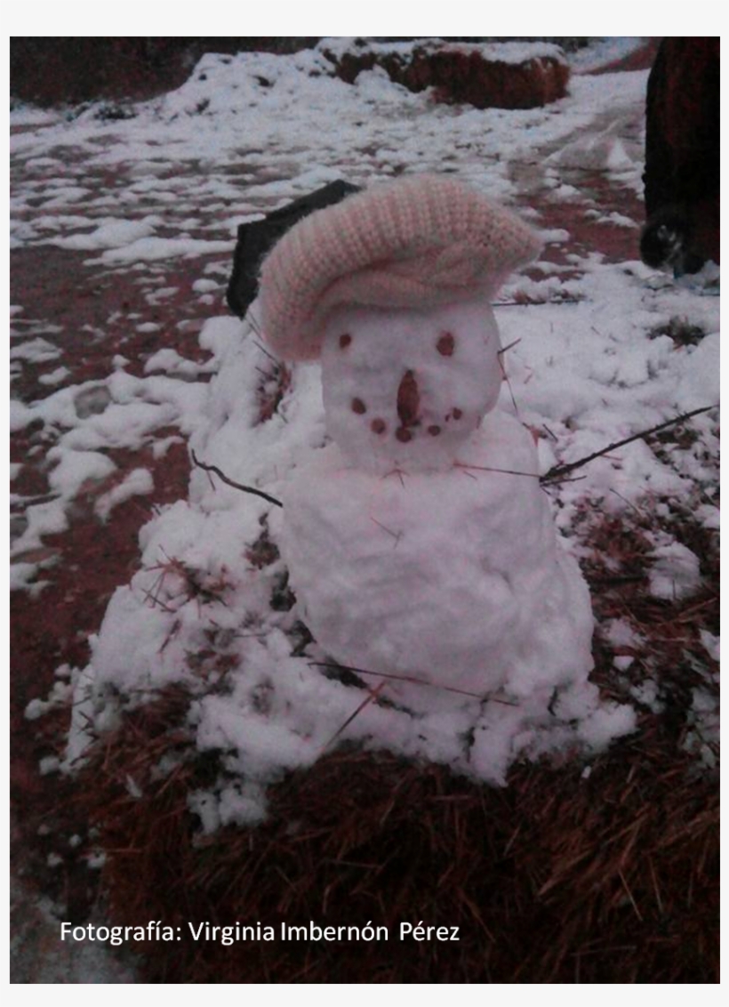 Un Nuevo Y Efímero Astrónomo Aficionado, Deseamos Que - Snow, transparent png #8006168