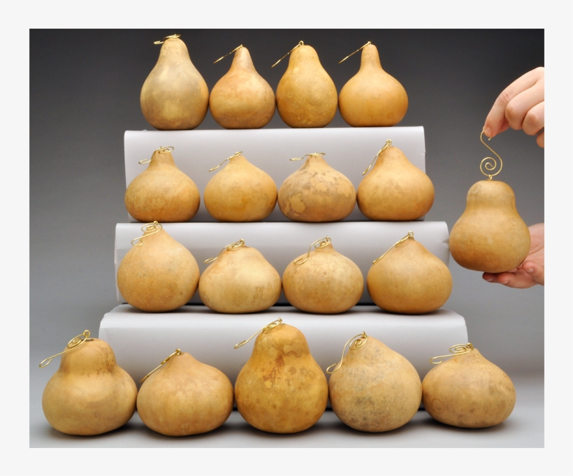 Fancy Hook Craft-ready Gourd Ornaments - Gourd, transparent png #8006527