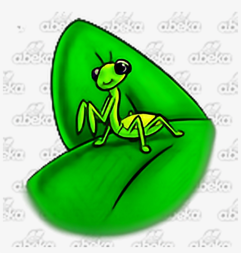 Insect Sticker - Mantis, transparent png #8006536