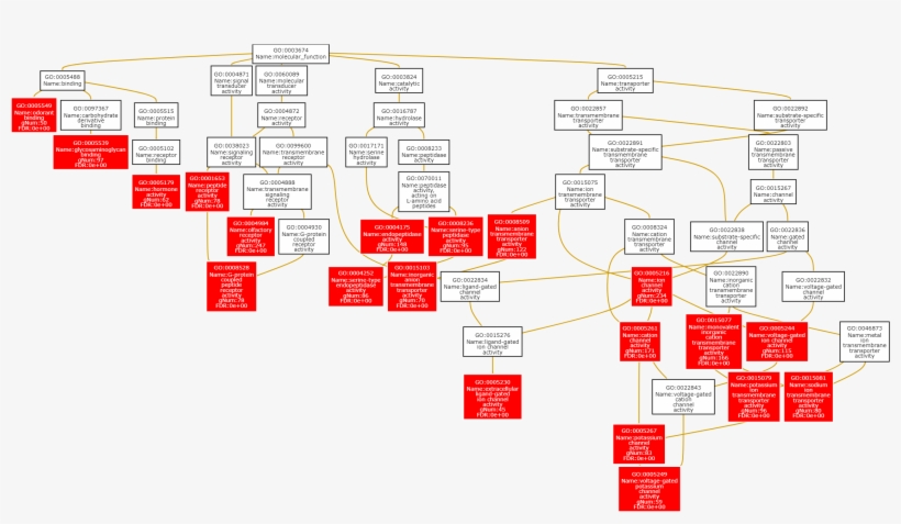 Goslim Summary Exo Vs Cell Common Upreg Pathway Wikipathway - Diagram, transparent png #8006711