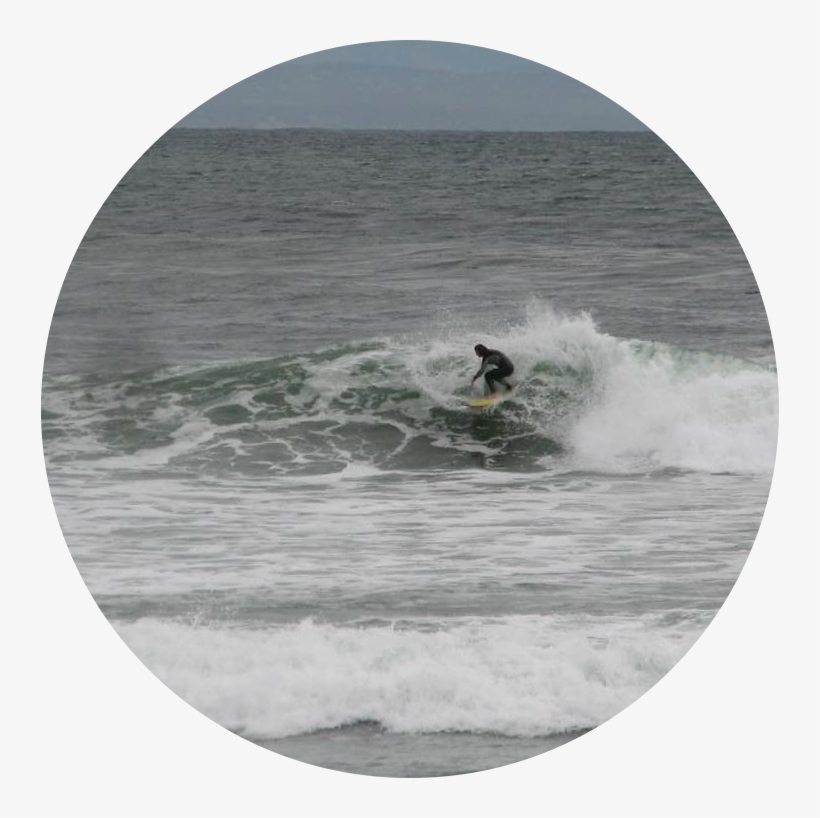 John Little Wolf Surf - Surfing, transparent png #8007193