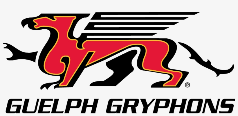 University Of Guelph - Guelph Gryphons, transparent png #8008074