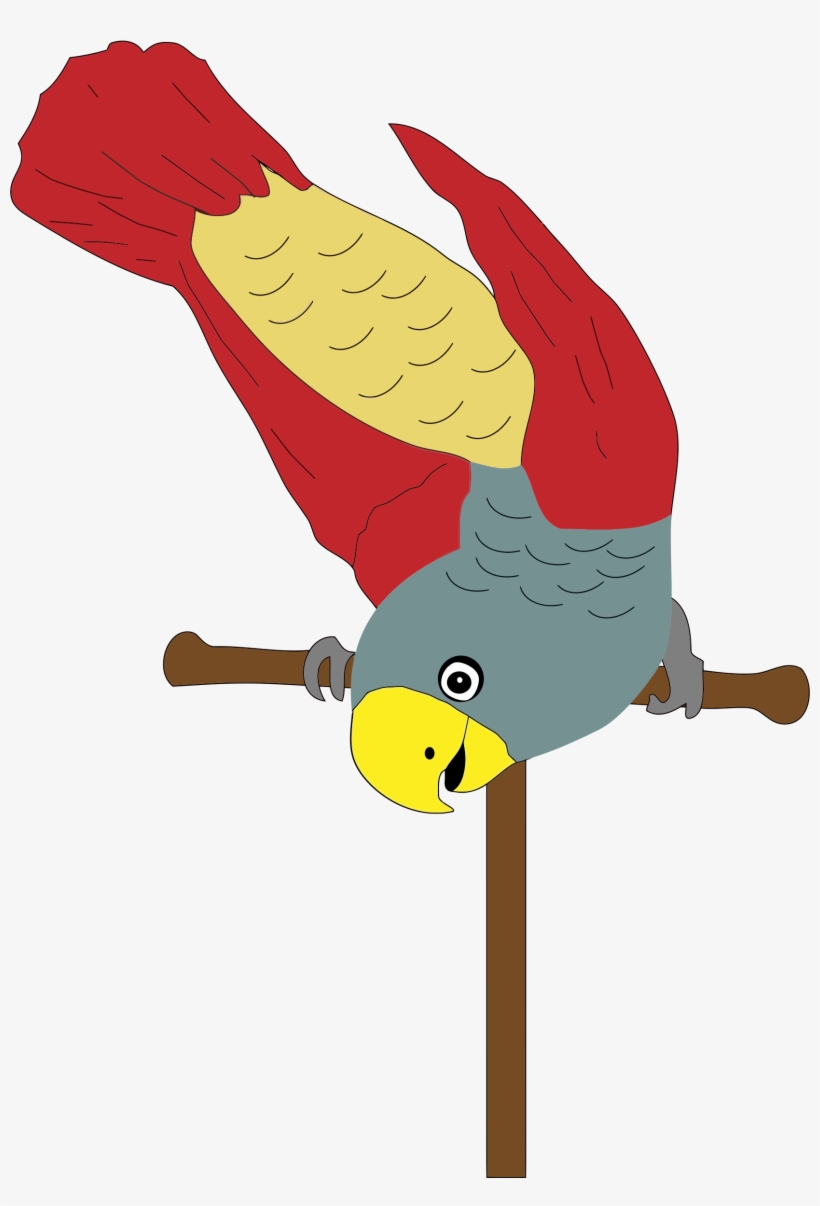 Parrot On Perch - Perch Clipart, transparent png #8008735