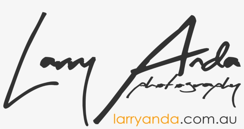 1600 X 782 6 - Calligraphy, transparent png #8009838