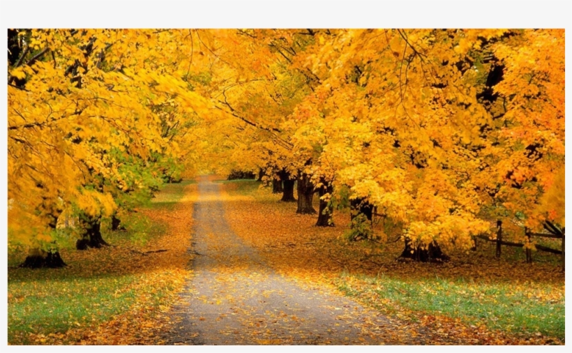 Score 50% - Song Of Autumn By Charles Baudelaire Message, transparent png #8009915