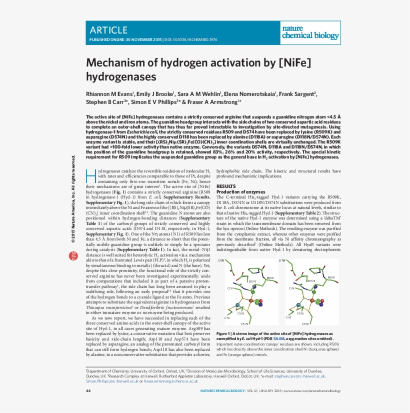 Pdf - Document, transparent png #8010775
