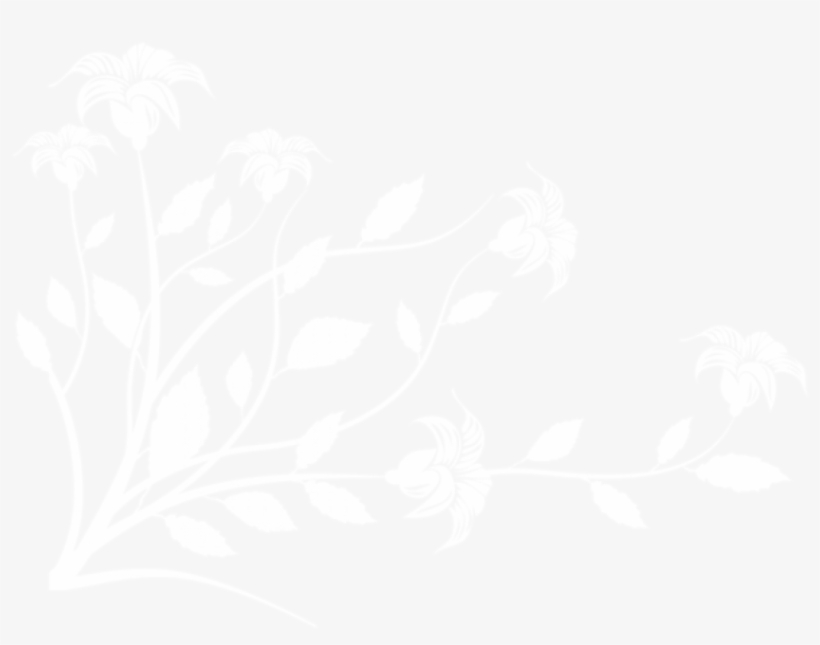 Download Floral Decoration Clipart Png Photo - Orchid, transparent png #8010882