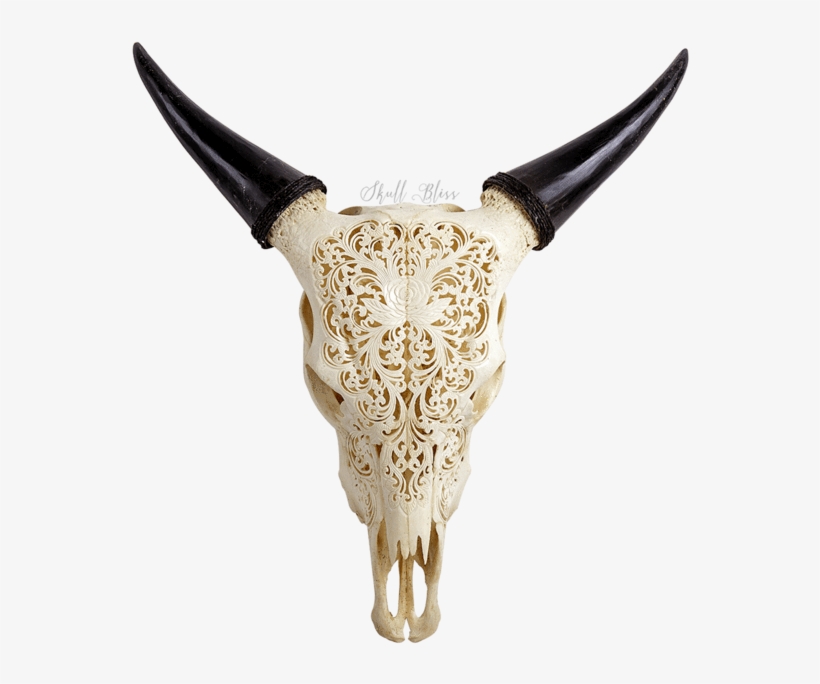 Cow Skull Png - Carved Cow Skulls, transparent png #8011814