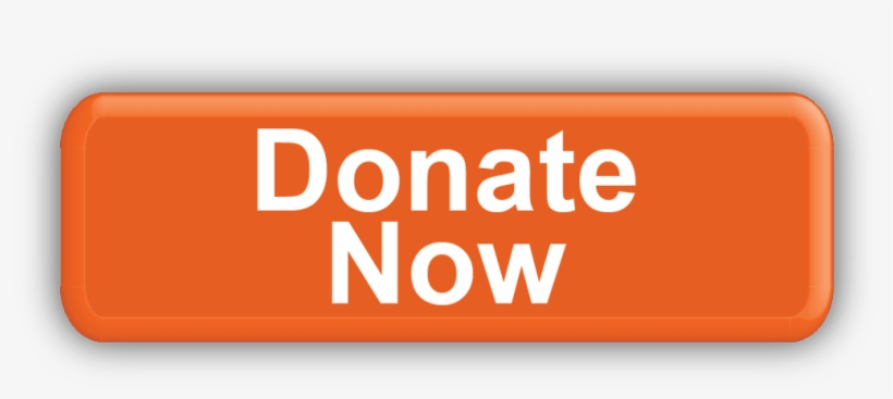 Orange Donate Now Button, transparent png #8012252