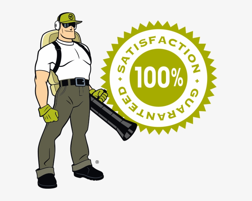 Dread Skeeter With Satisfaction Guarantee Logo - Mosquito Squad, transparent png #8012492